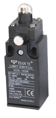 Kilitli Pimli Limit Swicht